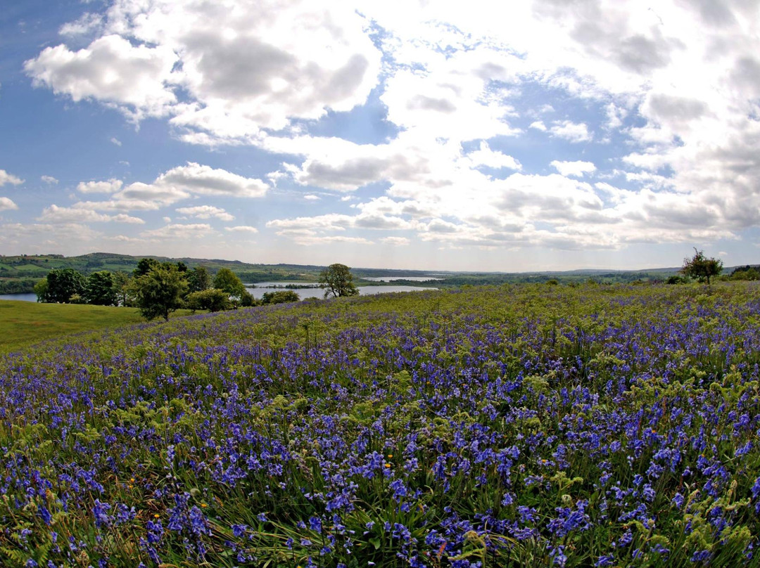 Clyde Muirshiel Regional Park景点图片