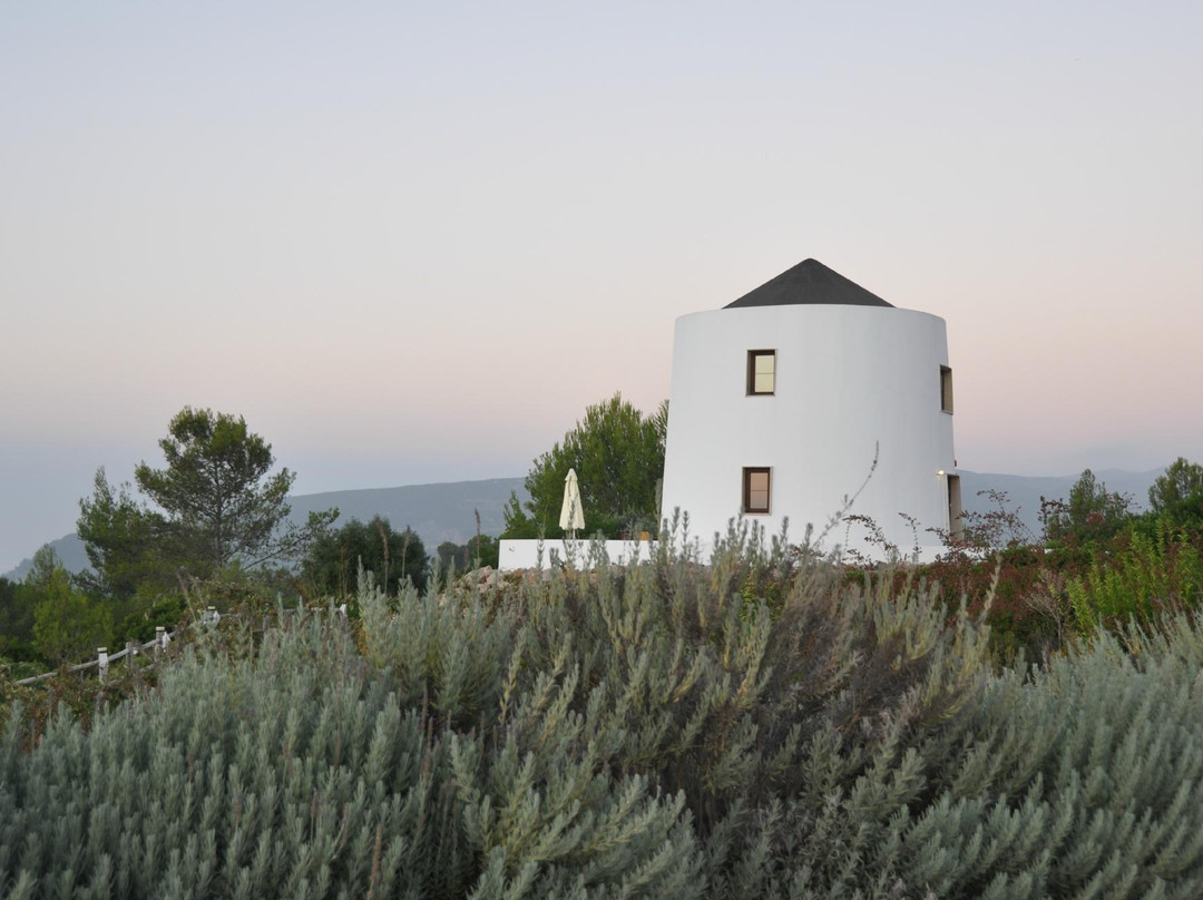 Quinta dos Moinhos de Sao Filipe主图