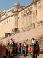 Golden Triangle Tours India Expert景点图片