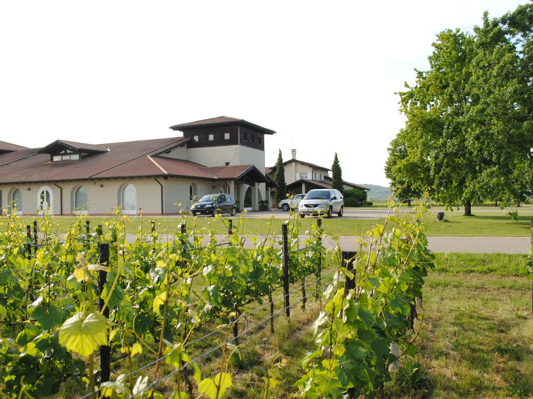 Azienda Agricola Vie di Romans景点图片