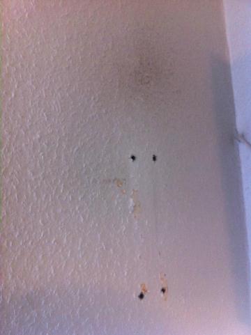 Jan van Werth-客卧