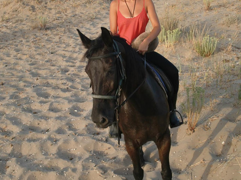 Nana's Horse Riding-卡拉马其必去景点