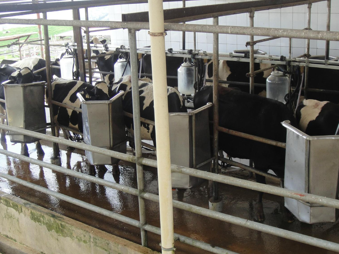 牛场-昆达山必去景点