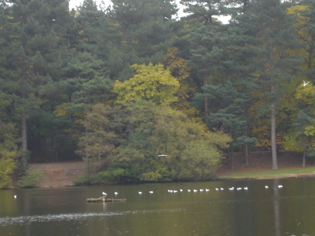 Sutton Park National Nature Reserve-萨顿科尔菲尔德必去景点