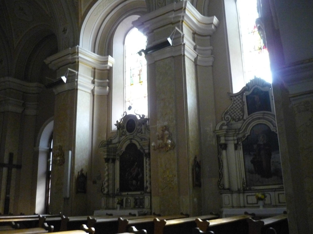 Franciscan Church and Monastery景点图片