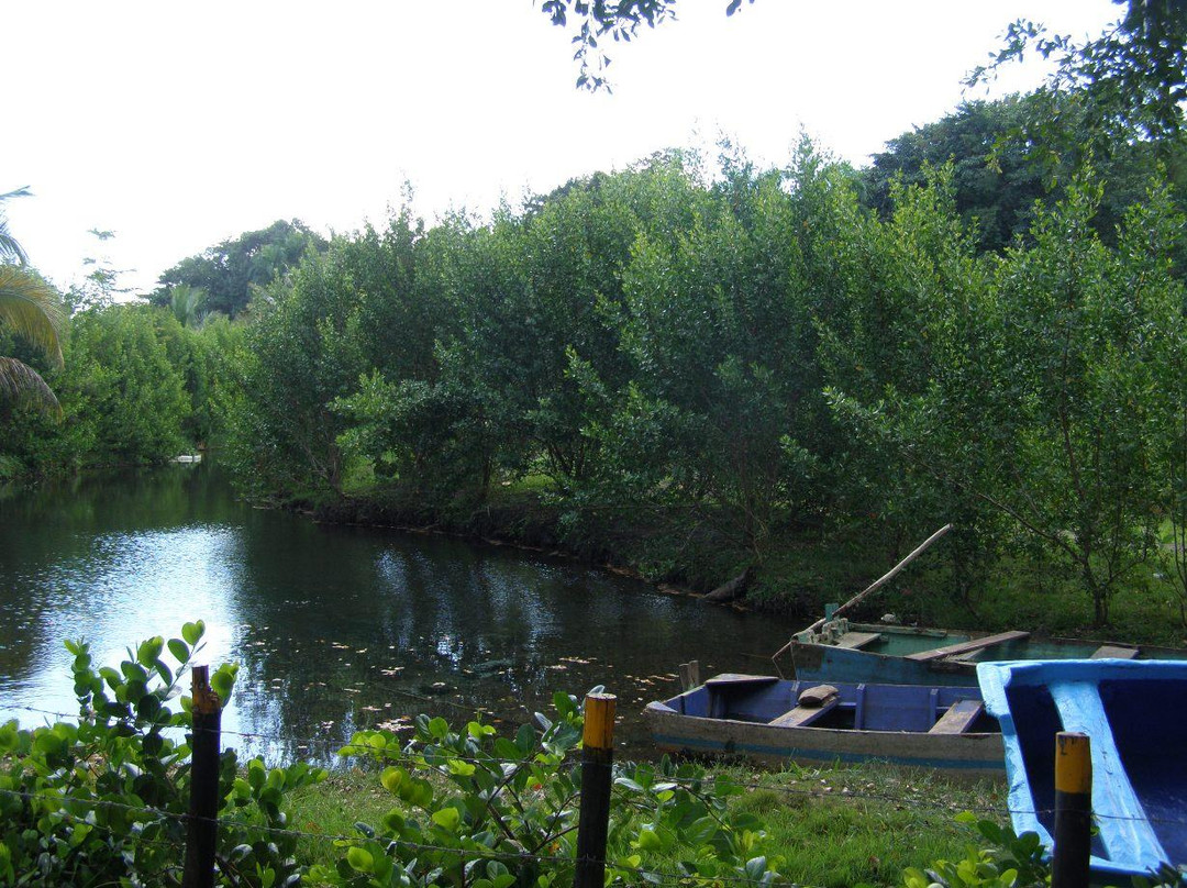 Las Cuevas de Cabarete-喀巴里特必去景点