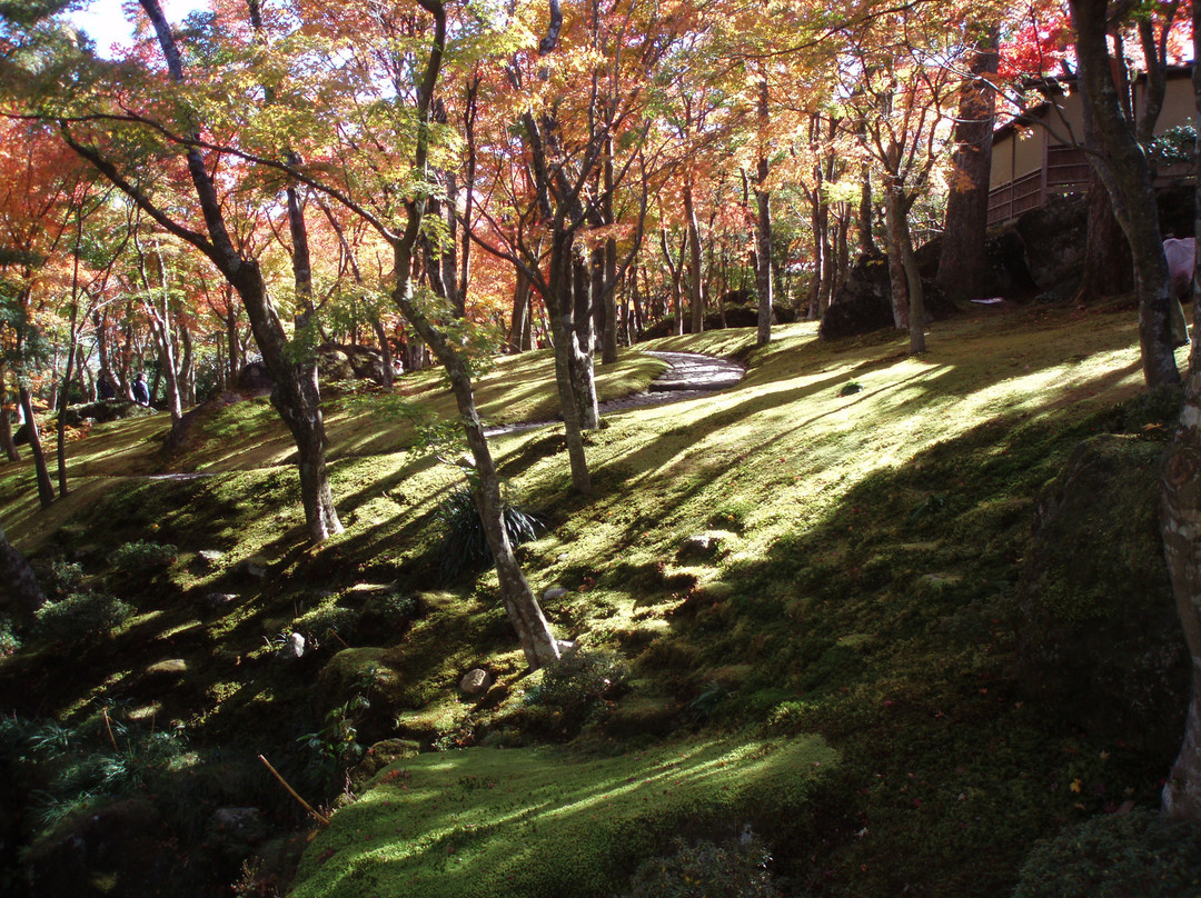 箱根美术馆-箱根町必去景点
