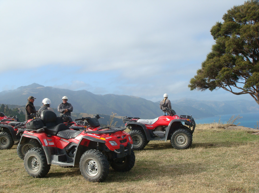 Glenstrae Farm 4 Wheel Adventures-Kaikoura必去景点