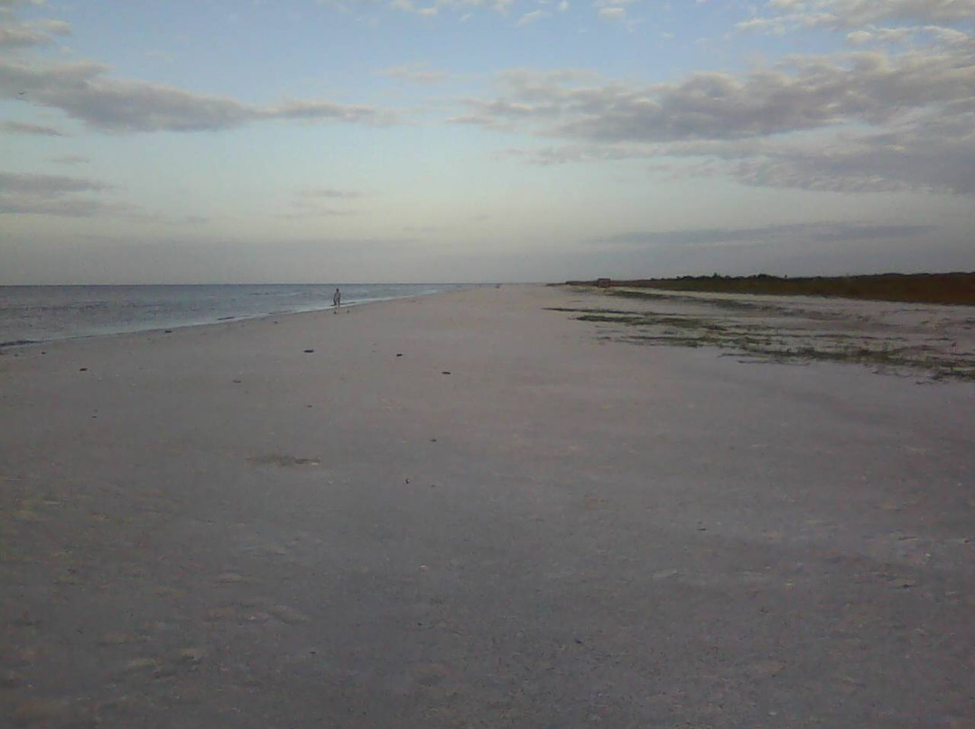 South Marco Beach景点图片