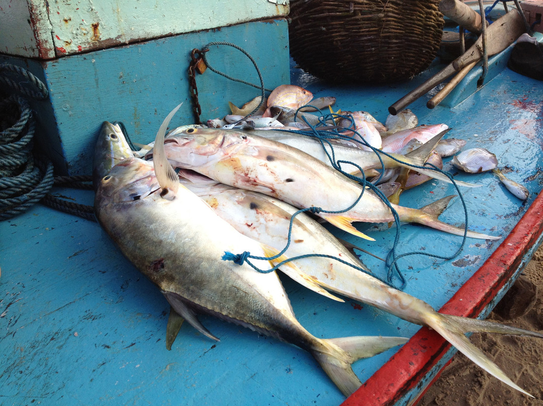 Praia das Fontes-Beberibe必去景点