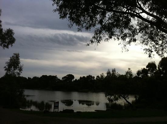 新港湖区公园-墨尔本必去景点