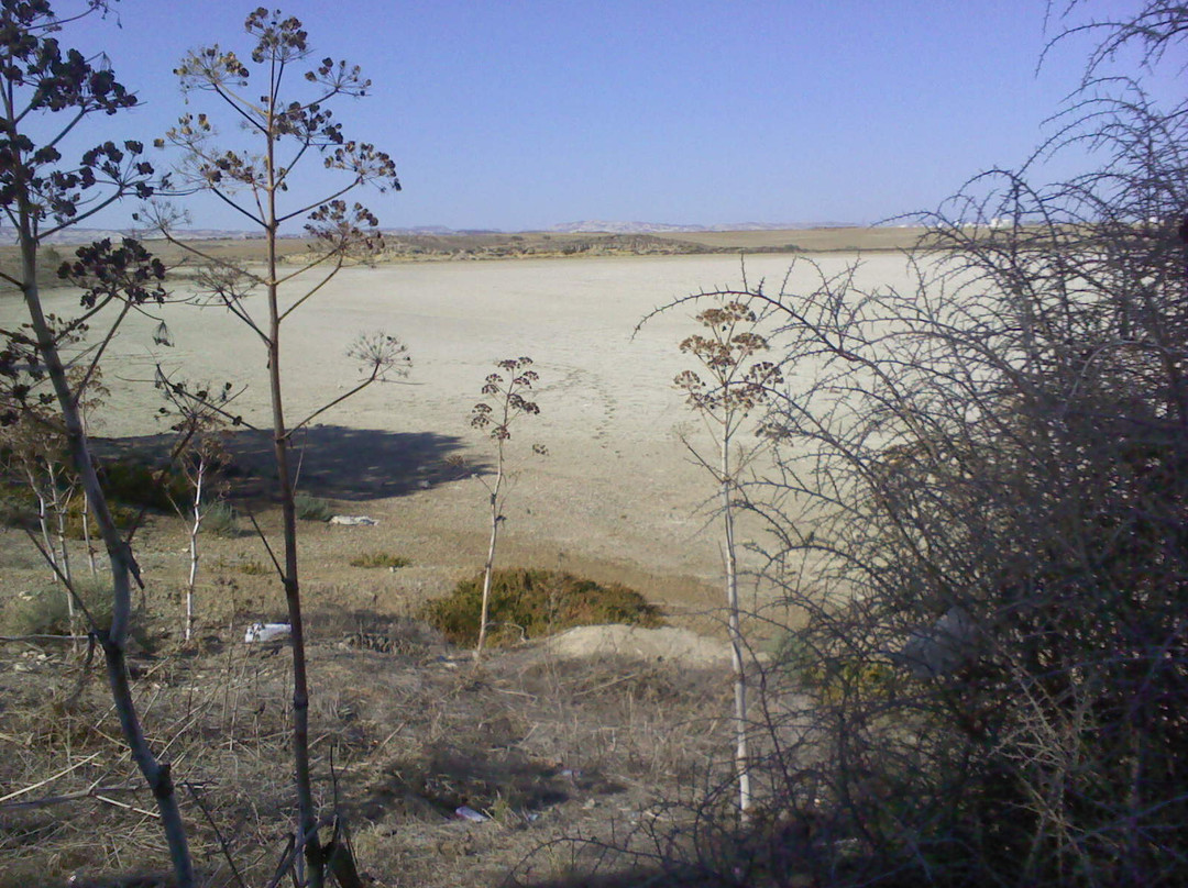 Hala Sultan Tekke景点图片