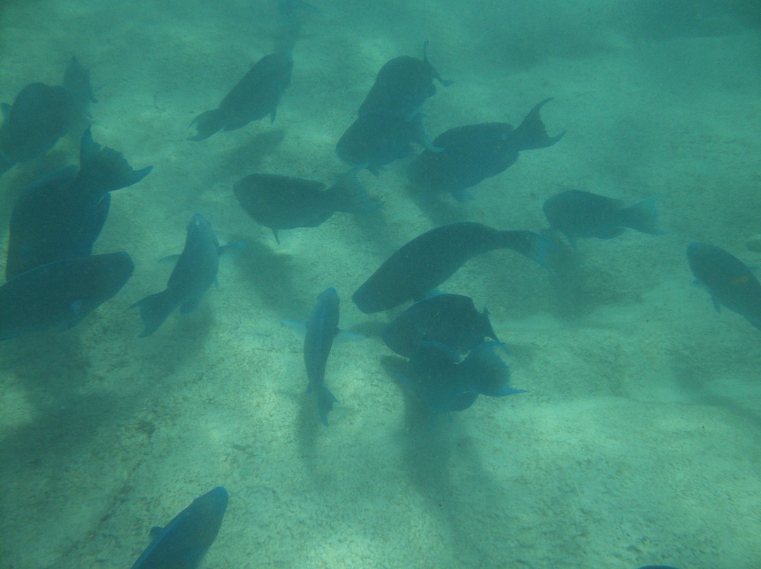 Church Bay Beach-南安普敦必去景点