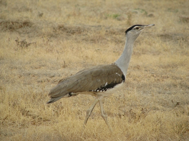 Bladensburg National Park-Winton必去景点