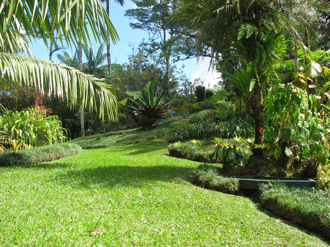 Las Cruces Biological Station and Wilson Botanical Garden景点图片