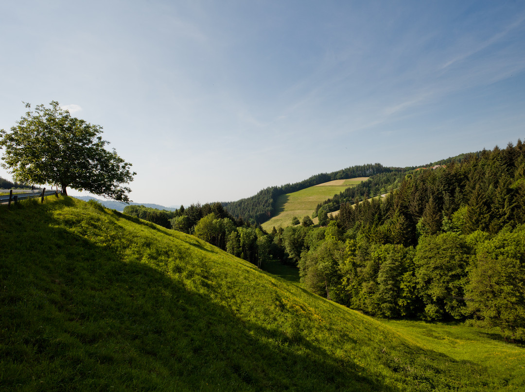 Soelden旅游攻略图片