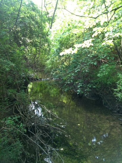 De Graaf Nature Center-荷兰村必去景点