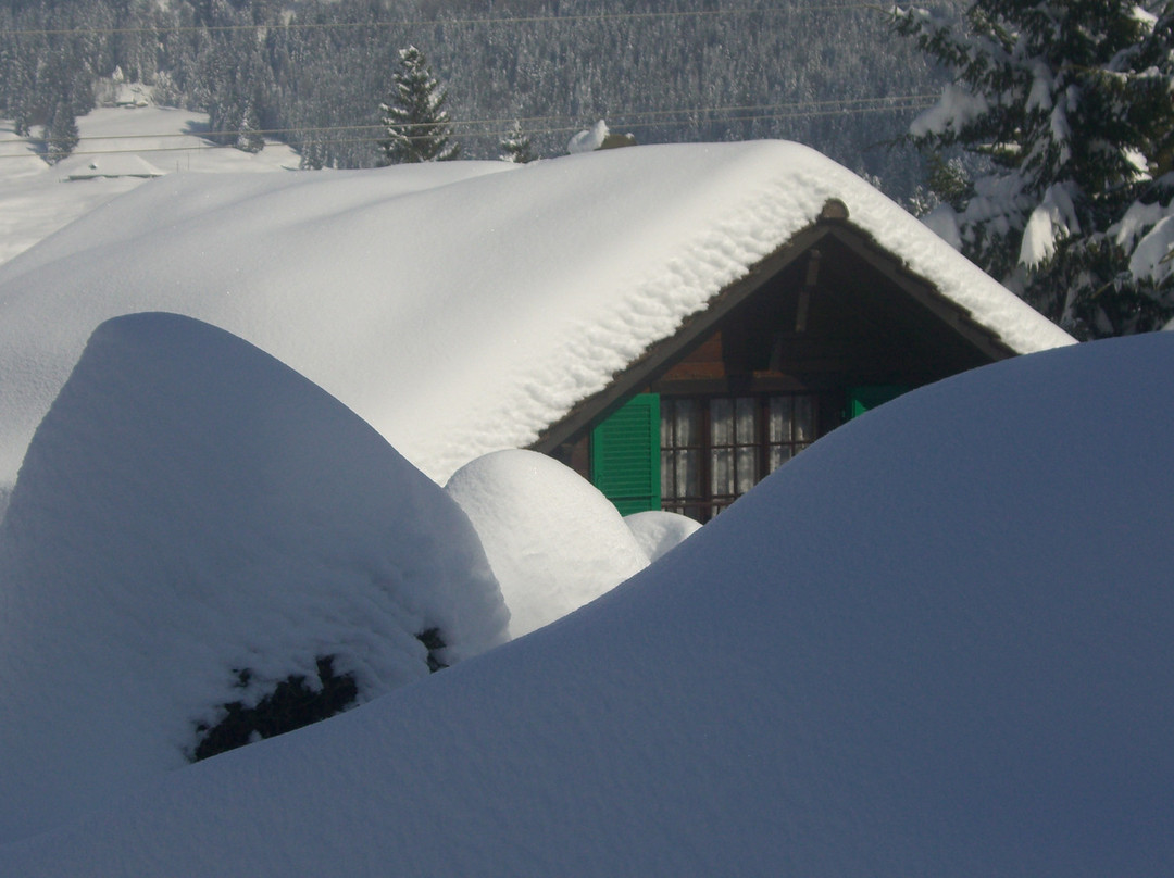 Chalet La Source