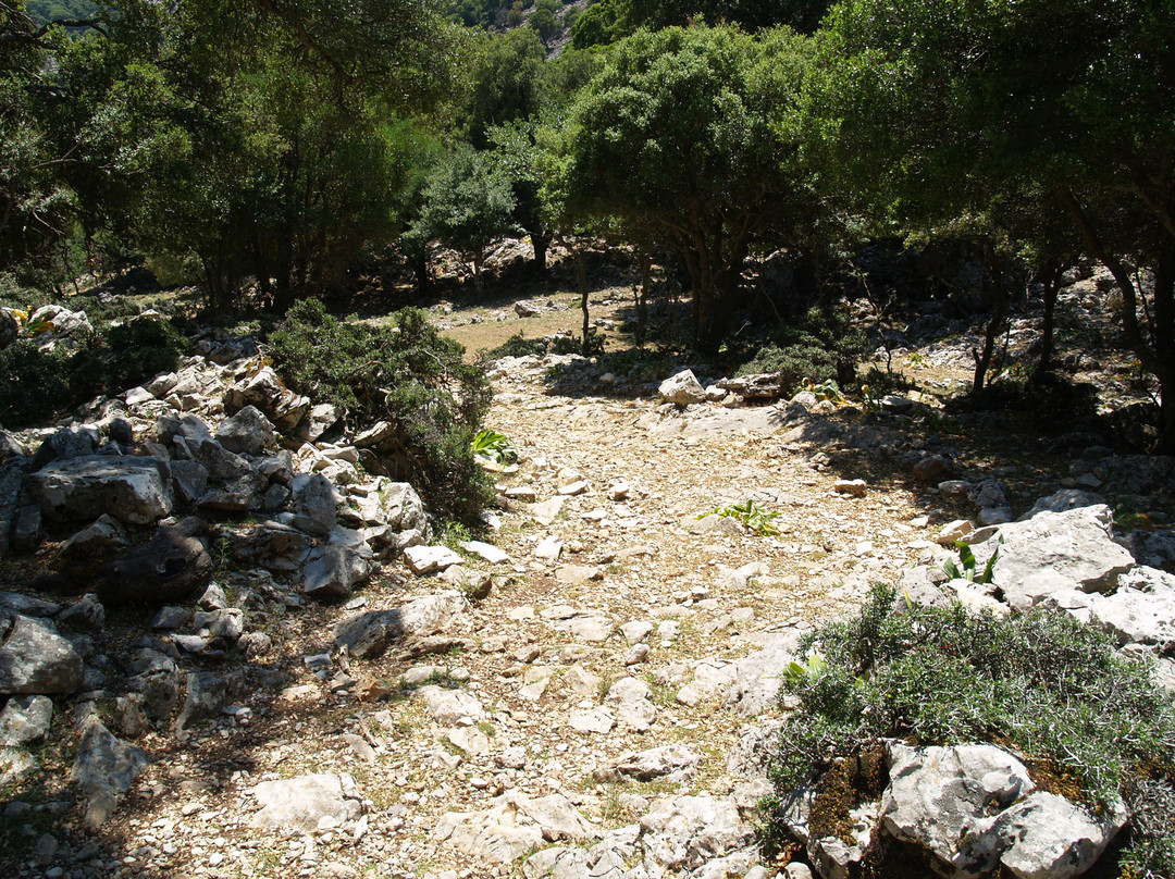Flowers of Crete-Elounda必去景点