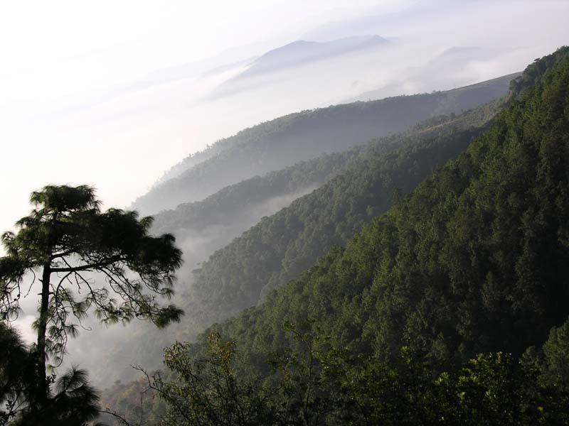 武定狮子山风景区-武定县必去景点