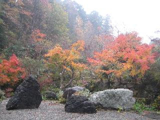 Haze Botanical Garden-松阪市必去景点