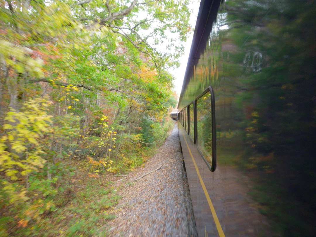 Blue Ridge Scenic Railway景点图片