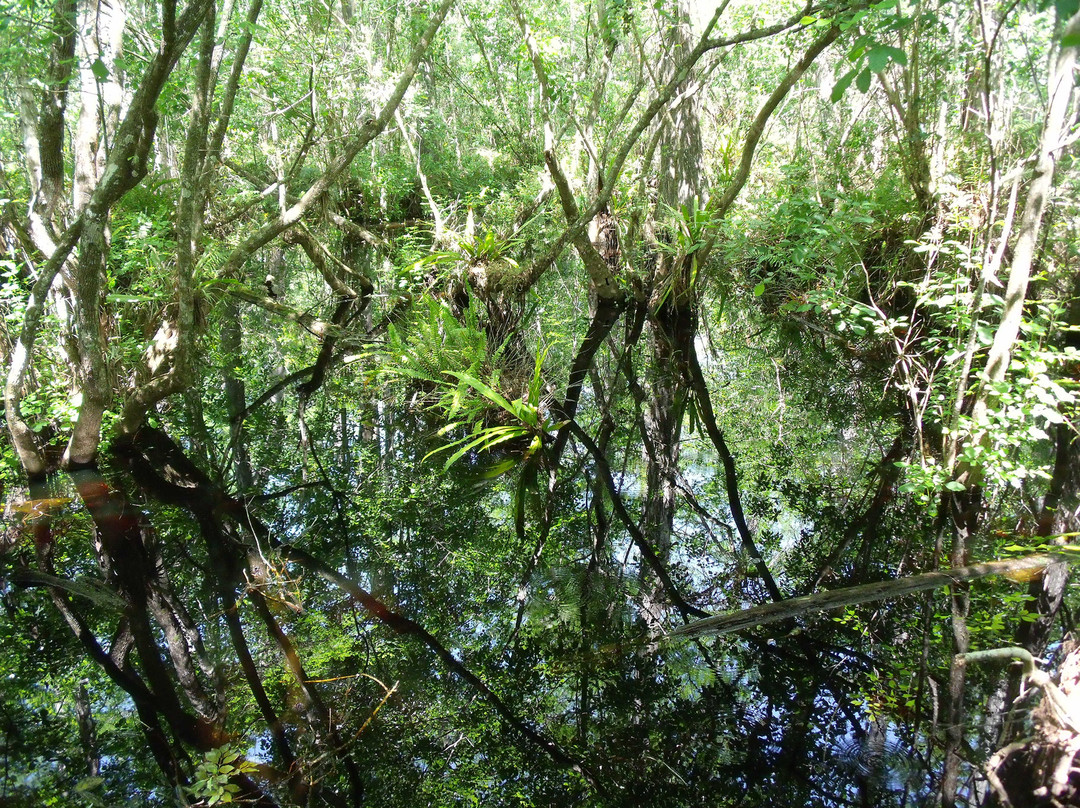 螺旋沼泽鸟兽禁猎区-那不勒斯必去景点