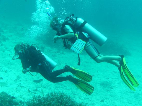 Oceanic Divecenter-卡塔海滩必去景点