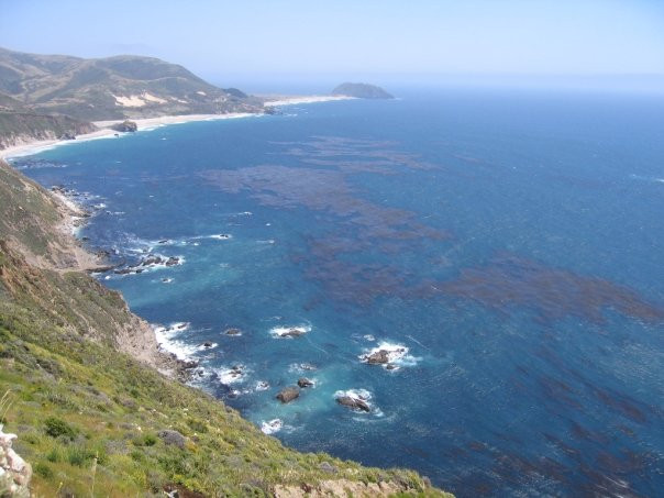 Coast Gallery Big Sur-大苏尔必去景点