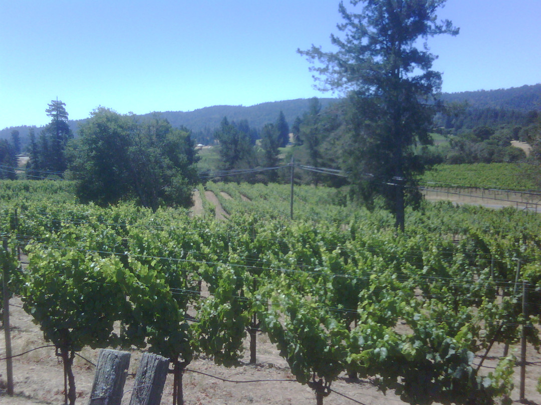 Handley Cellars Winery景点图片