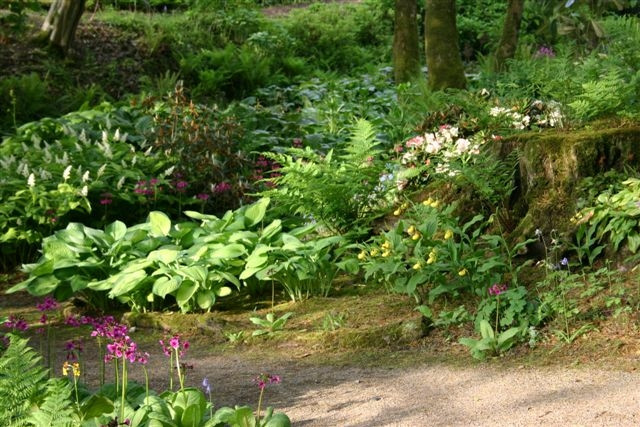Aberglasney Gardens景点图片