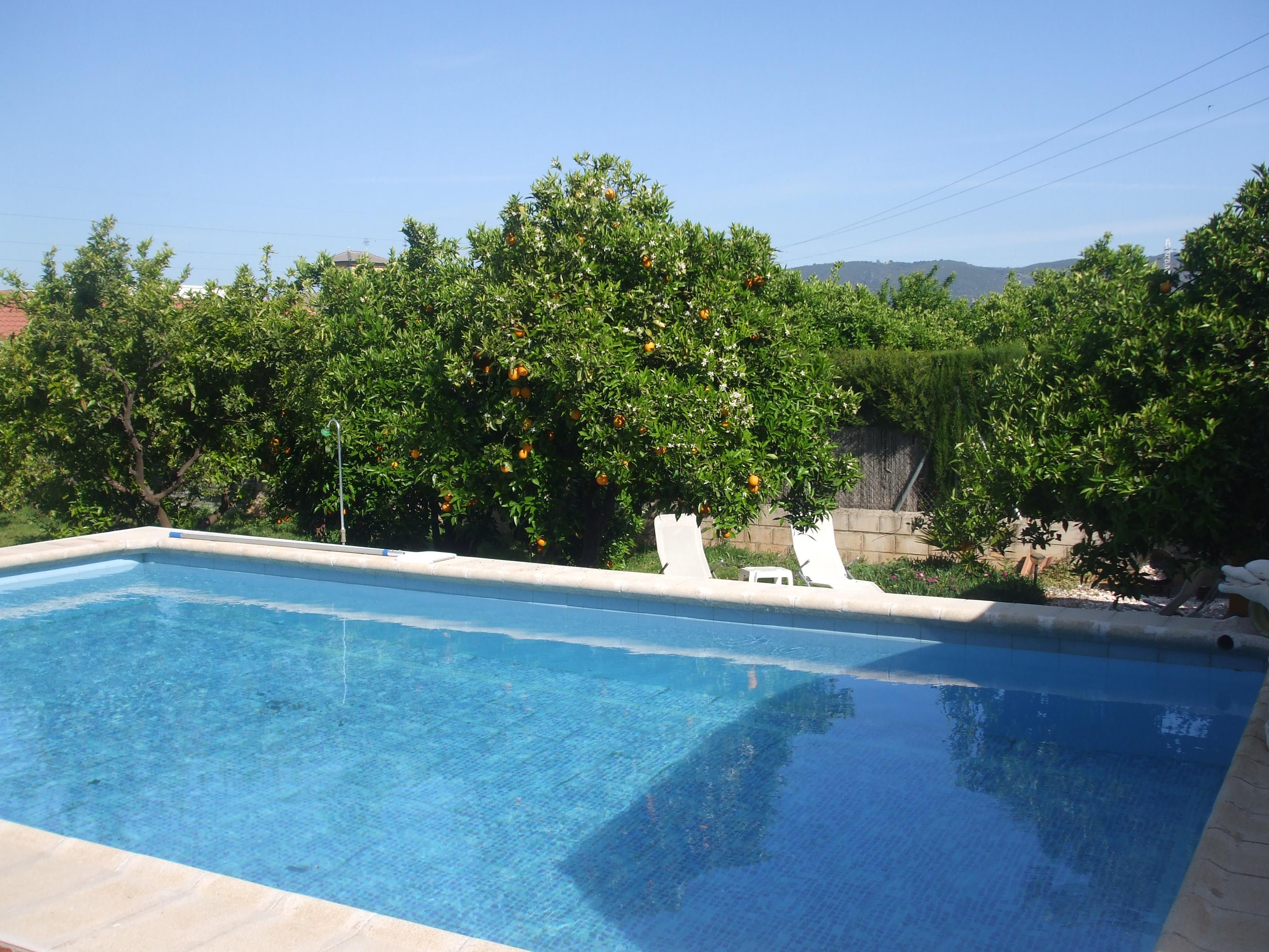 Casa el Pozo Cordobes-泳池