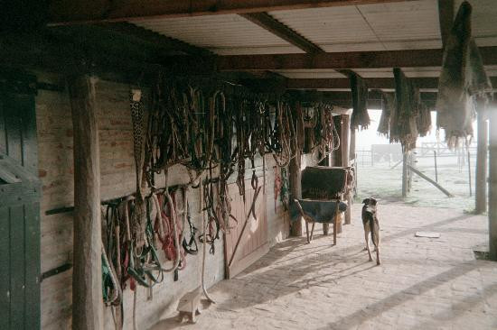 Estancia Los Dos Hermanos景点图片
