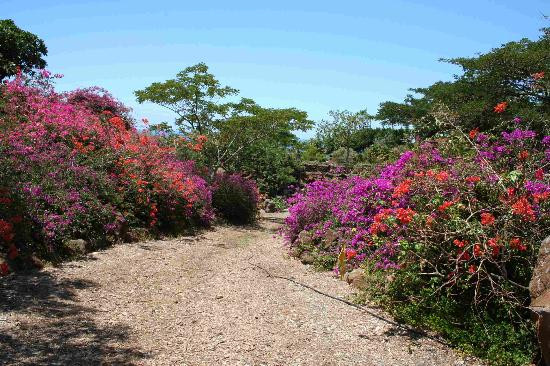 Pua Mau Place Arboretum & Botanical Garden景点图片
