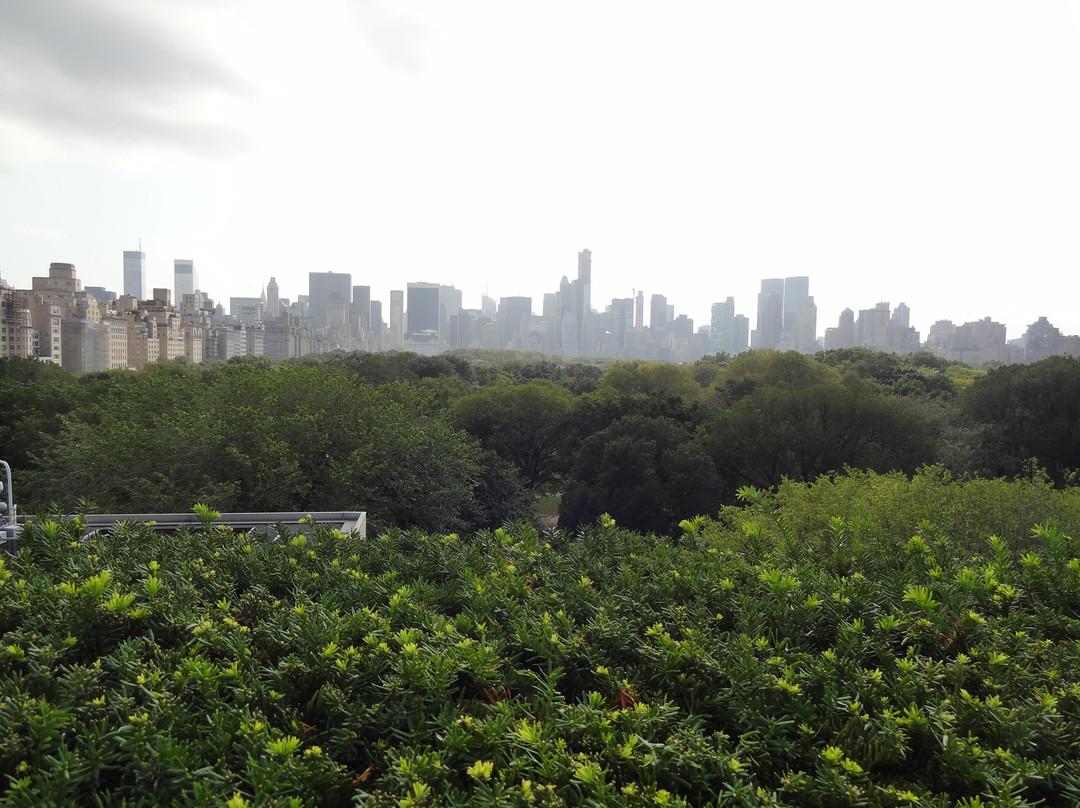 大都会艺术博物馆-纽约市必去景点