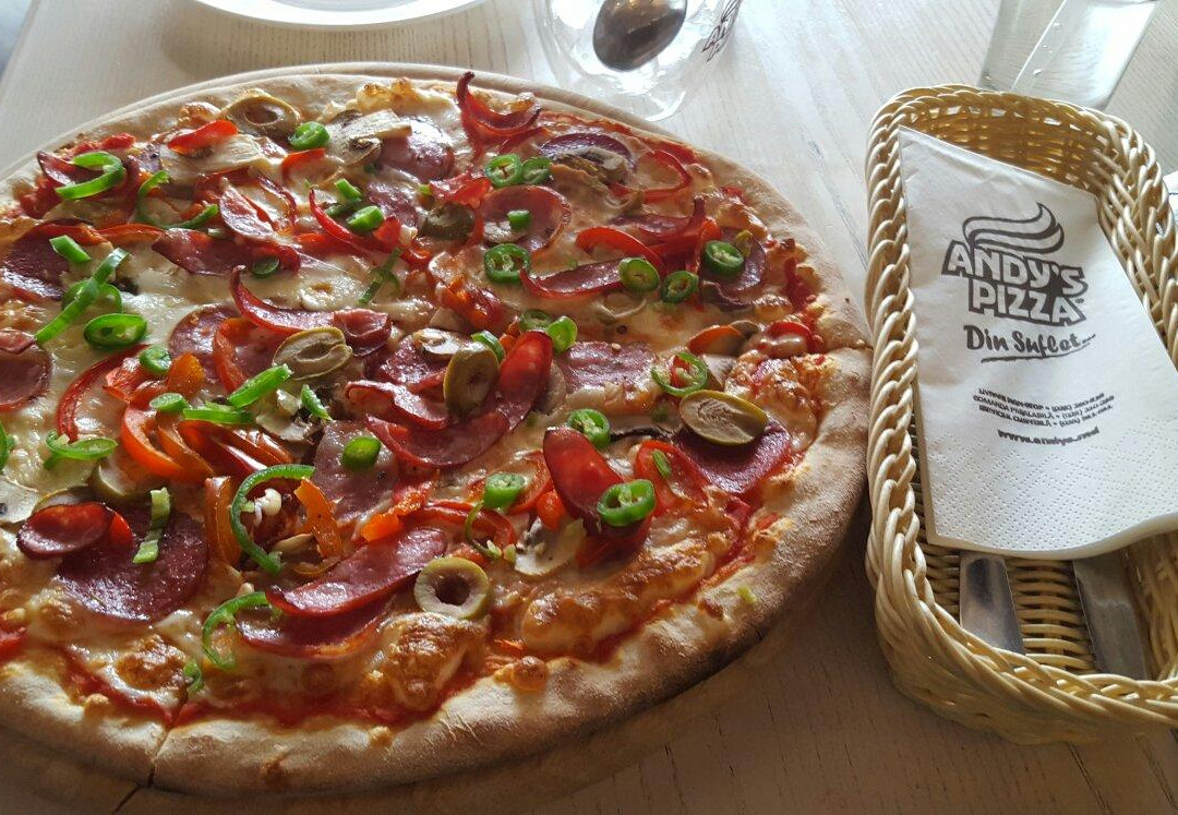 Vadul lui Voda餐馆和美食-Andy's Pizza