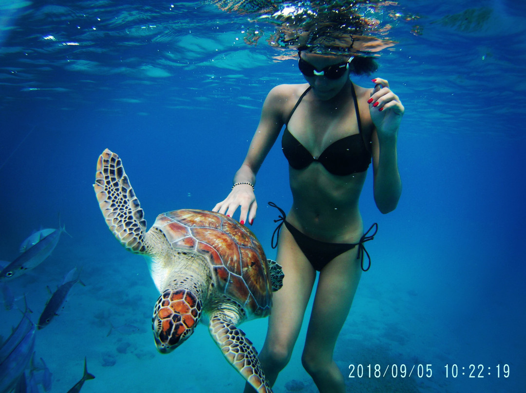 Barbados Snorkeling Tours by Hayden Browne-Holetown必去景点