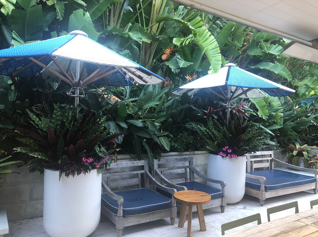 巴伦乔伊酒店主图