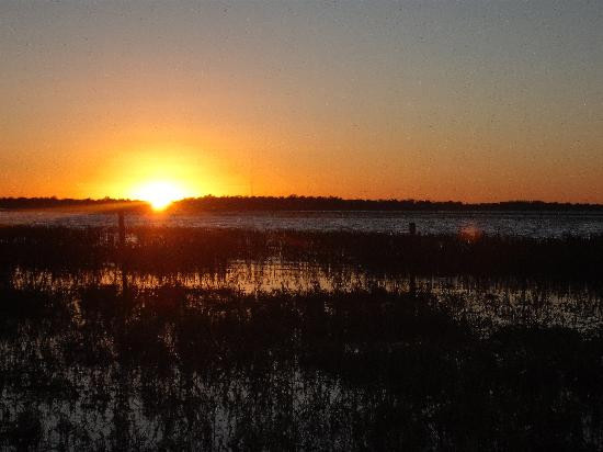 Boggy Creek Airboat Adventures-基西米必去景点