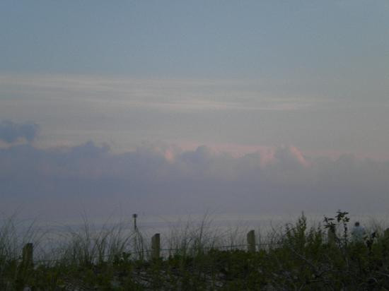 Curry Hammock State Park-马拉松必去景点