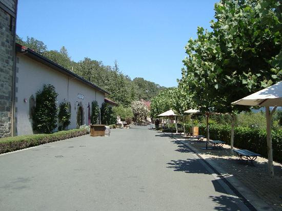 Beringer Vineyards景点图片