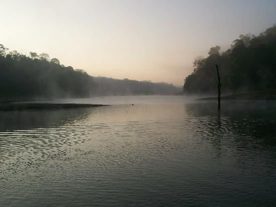 Periyar Lake景点图片