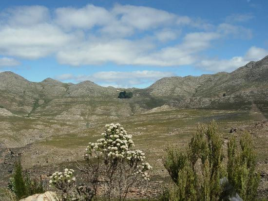 Swartberg Pass-奥兹洪必去景点