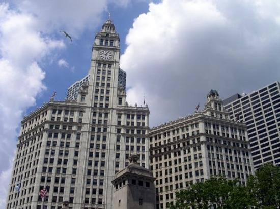 箭牌大厦-芝加哥必去景点