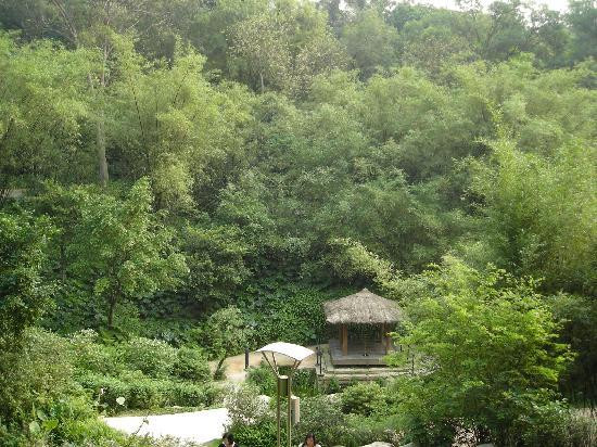 广东省立中山图书馆-广州市必去景点