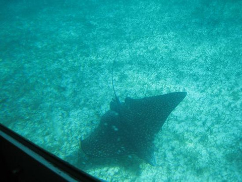 Caicos Tours-普罗维登西亚莱斯必去景点