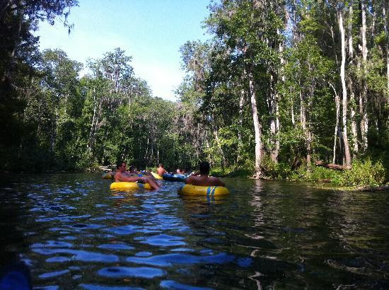 Ichetucknee Springs State Park景点图片