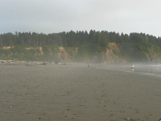 La Push Beach景点图片