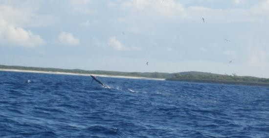 Winding Bay-伊柳塞拉必去景点