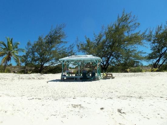 Compass Cay-外围小岛群必去景点